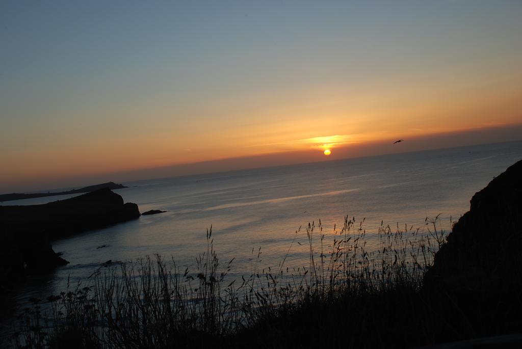 Hotel The Whipsiderry Newquay (Cornwall)